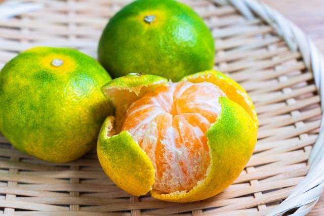 みかんのイメージ