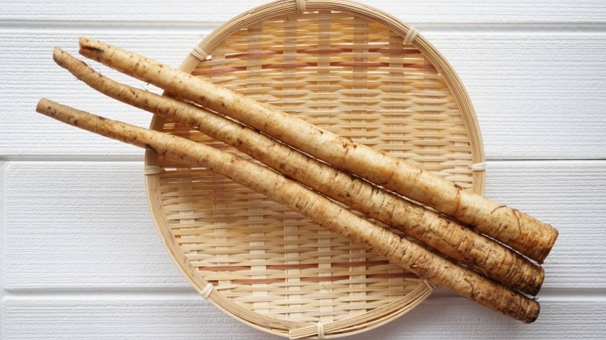 ごぼうのイメージ