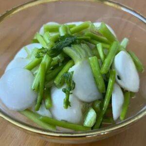 余り野菜が驚くほどおいしくなる。ごぼう・ねぎ・カブを“漬けるだけ”で旨みと栄養が引き立つ常備菜
