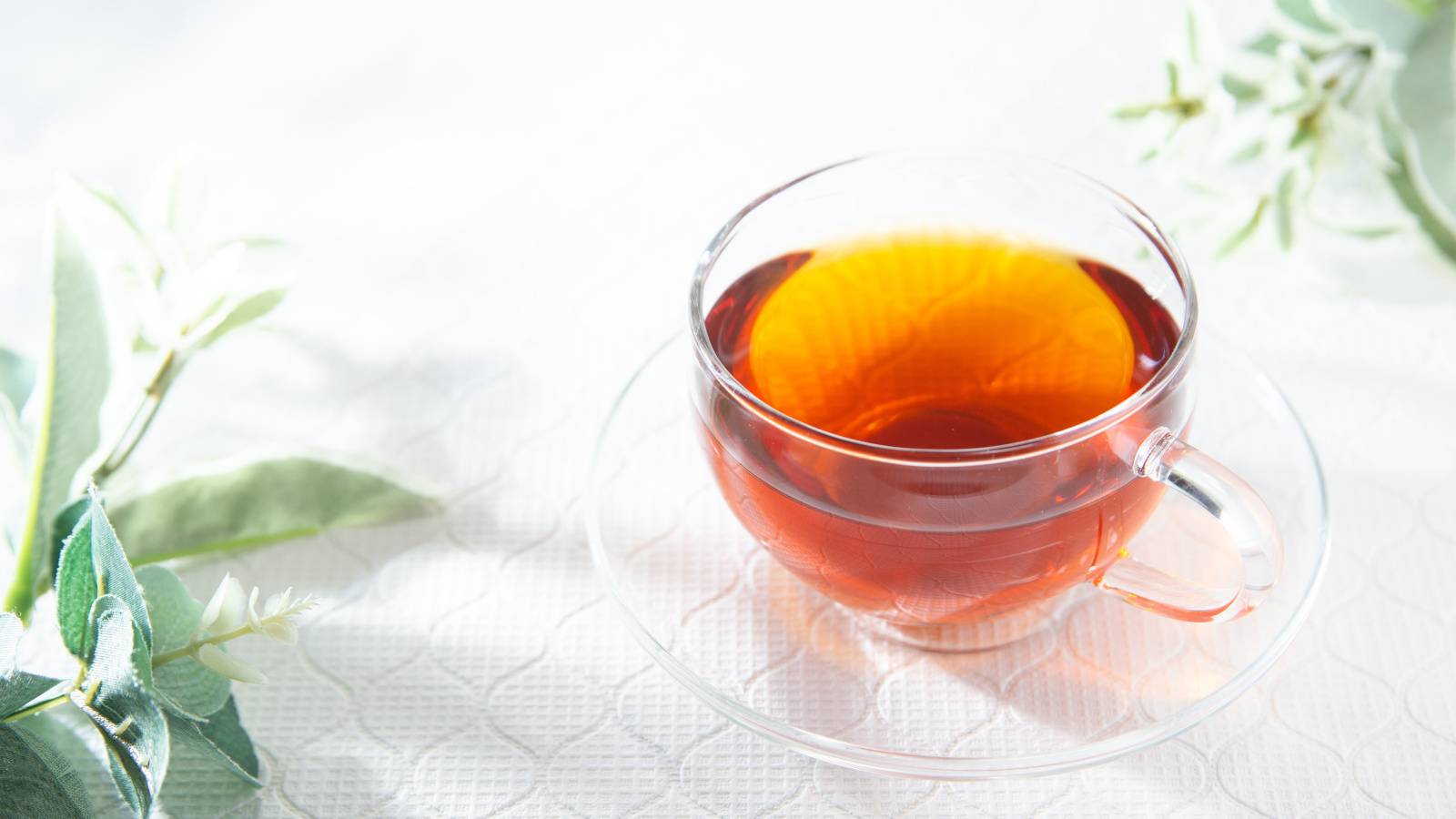 【ルイボスティーで乳がん抑制の可能性】南ア研究が女性ホルモン”エストロゲン”作用のブロック効果を示唆