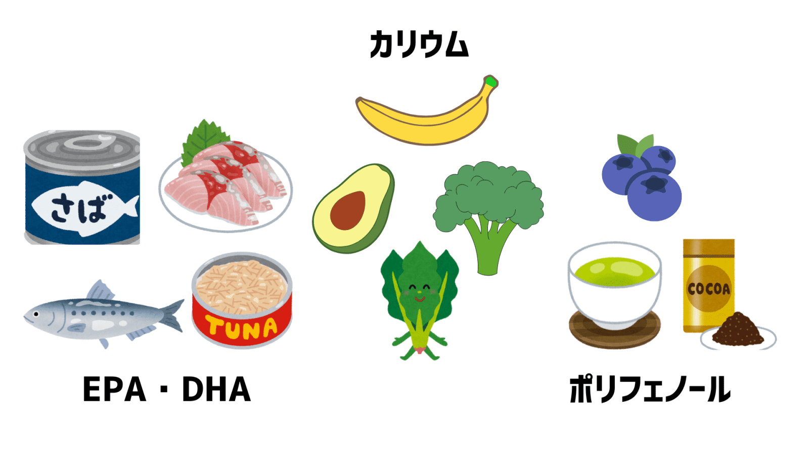 EPA・カリウム・ポリフェノールのイラスト