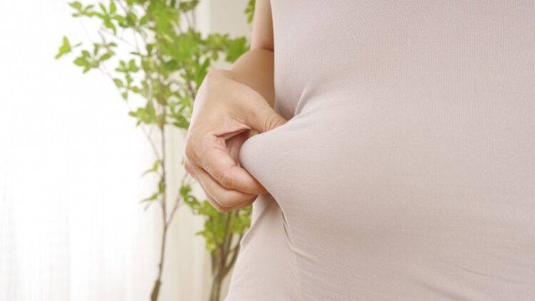 お腹を凹ませたい、けど腹筋は苦手な人へ｜仰向けではなく【四つ這い】で10倍効く！お腹凹ませエクサ