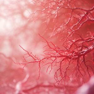 冬の冷え・むくみにさよなら！毛細血管がよろこぶ朝ごはん【管理栄養士が解説】