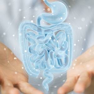 腸内環境が悪いと骨がもろくなる？今すぐできる「腸から始める骨活」のススメ｜管理栄養士アドバイス