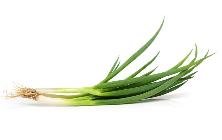 ねぎのイメージ