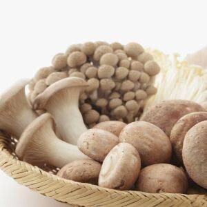 【痩せる朝ごはん】朝、食べると血糖値が安定する！食物繊維がたっぷりの食材とは？管理栄養士が解説