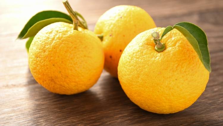 冬至にゆず湯に入るのはなぜ？実はすごい「ゆず」の栄養と体を整える効能｜管理栄養士が解説