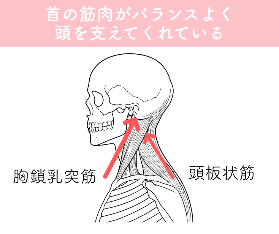 ストレートネック