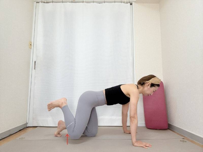 四つ這いから左膝を数センチ床から浮かせた体勢