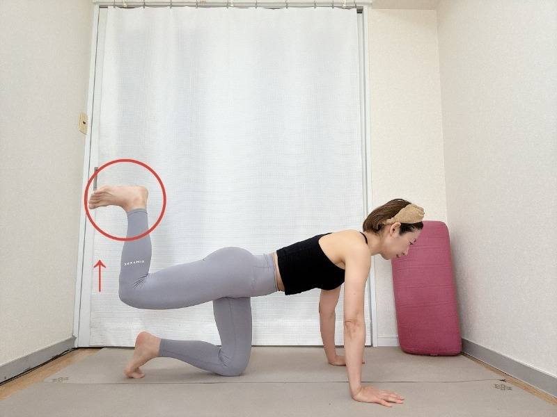 四つ這いから片脚を浮かせ、太腿が床と並行になる位置まで上げた体勢