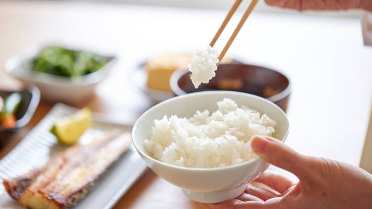 朝ごはんに足すだけ!腸がどんどん動き出す“食物繊維たっぷりな食材”とは?|管理栄養士が解説