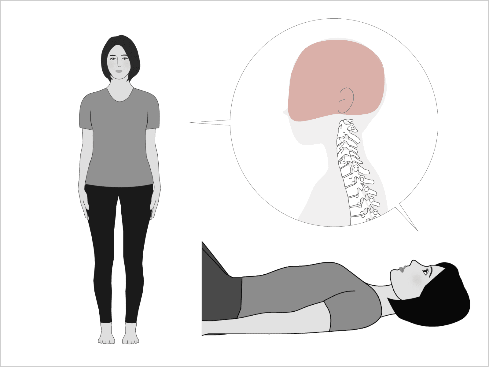 頭の存在を意識しながら仰向けになる