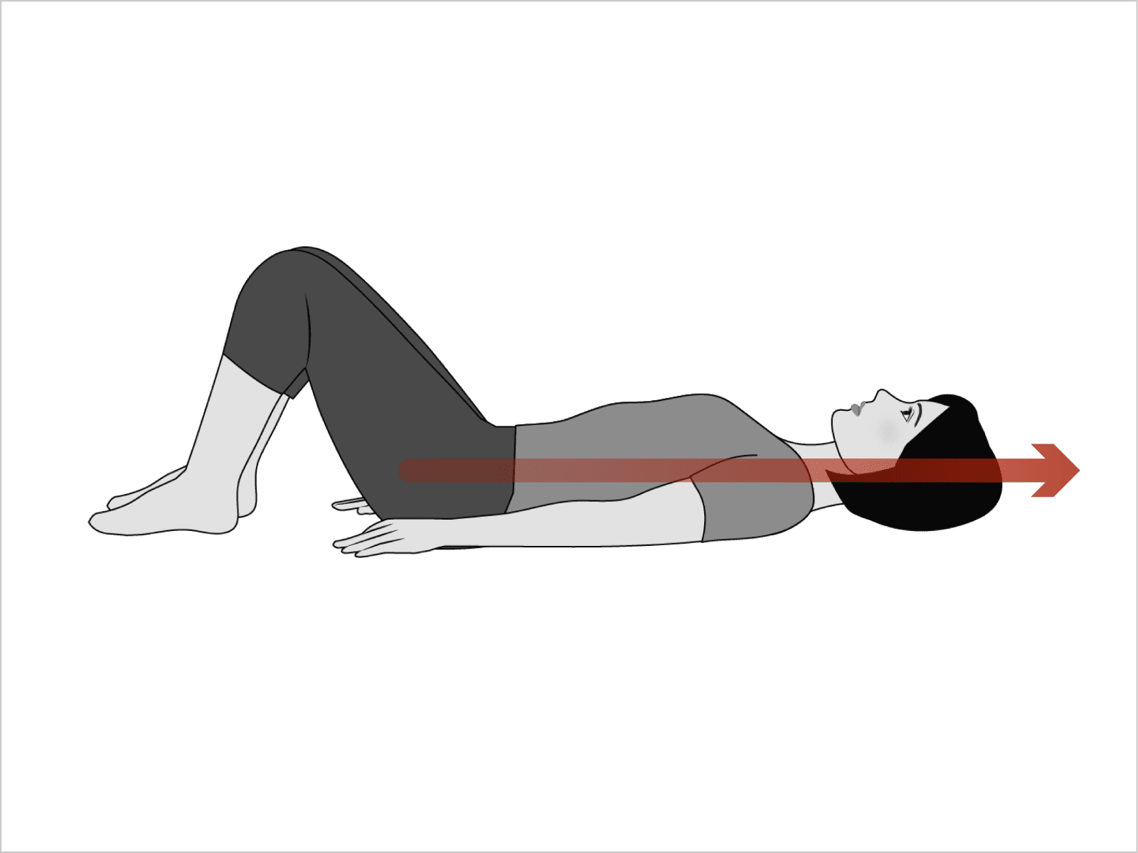 脊椎は頭頂部の方に伸びていくと思う