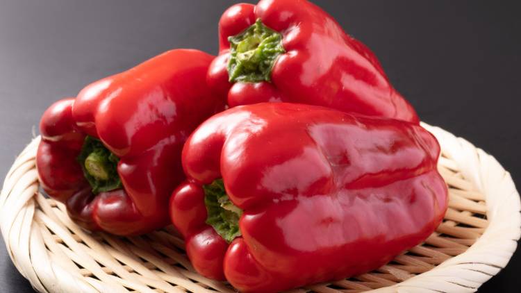 【老けない最強野菜】赤ピーマンの抗酸化力が老化をゆるやかにする理由|管理栄養士が解説