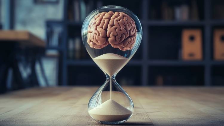 『30歳までは子ども脳!』英ケンブリッジ大学が解明!人生の“脳の転換期”は9歳、32歳、66歳、83歳に起こる