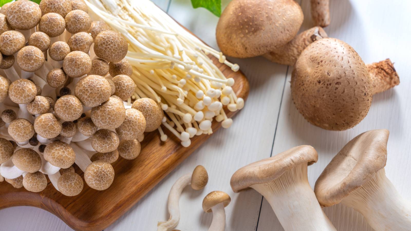 朝きのこを食べるだけ！みるみる痩せ腸に変わる「きのこ」の食べ方｜管理栄養士が解説