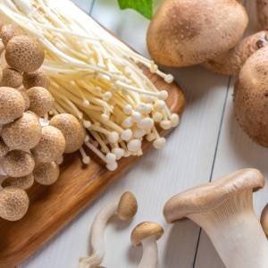 朝きのこを食べるだけ!みるみる痩せ腸に変わる「きのこ」の食べ方|管理栄養士が解説