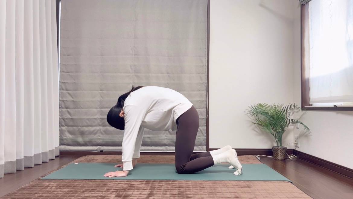 キャット＆カウ