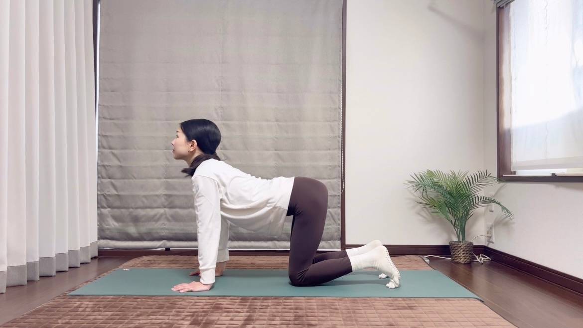 キャット＆カウ