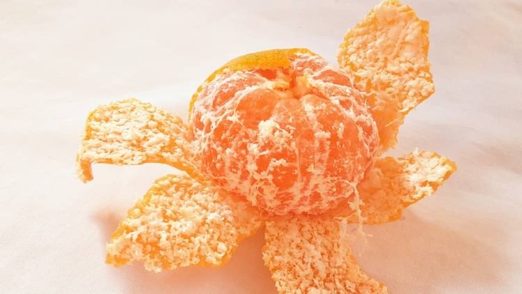 もう「みかんの白いすじ」は取らない。体にうれしい効果を管理栄養士が解説