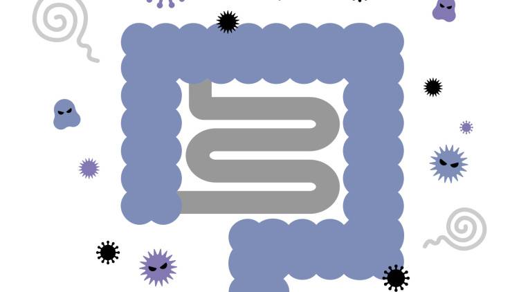 【腸内フローラが崩れる人の共通点】腸に負担をかけるNGな食べ方とは?管理栄養士が解説