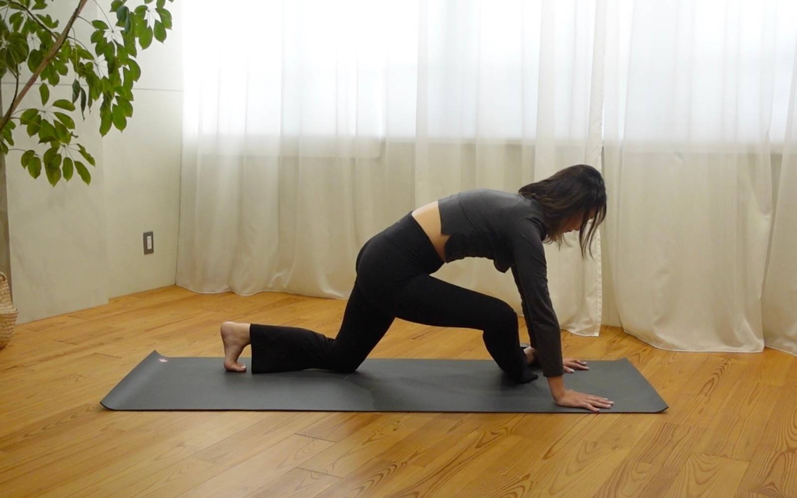 鳩のお休みのストレッチ