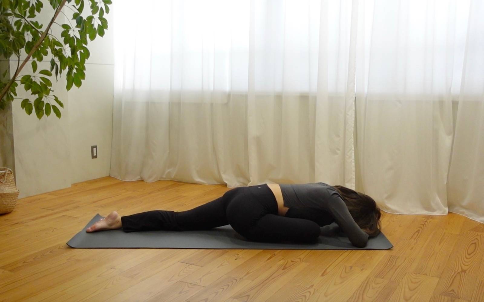 鳩のお休みのポーズ