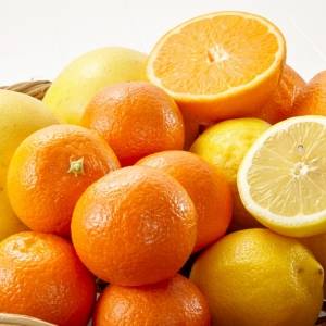 冬の柑橘、ビタミンCが多いのはどれ?みかん・きんかん・デコポンを比較!管理栄養士が解説