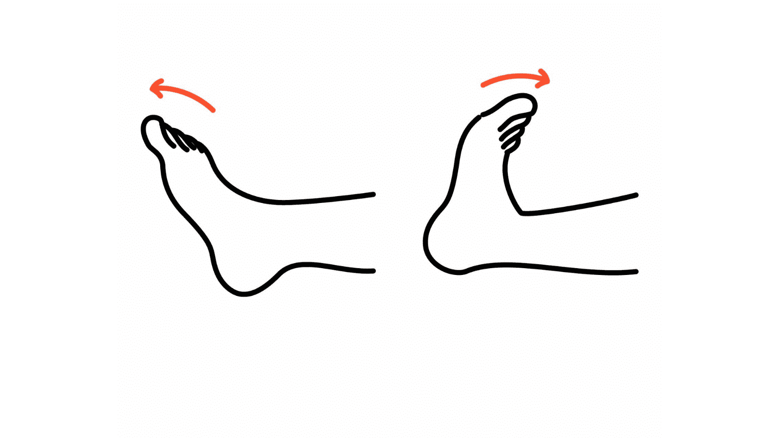 足首の運動　イラスト