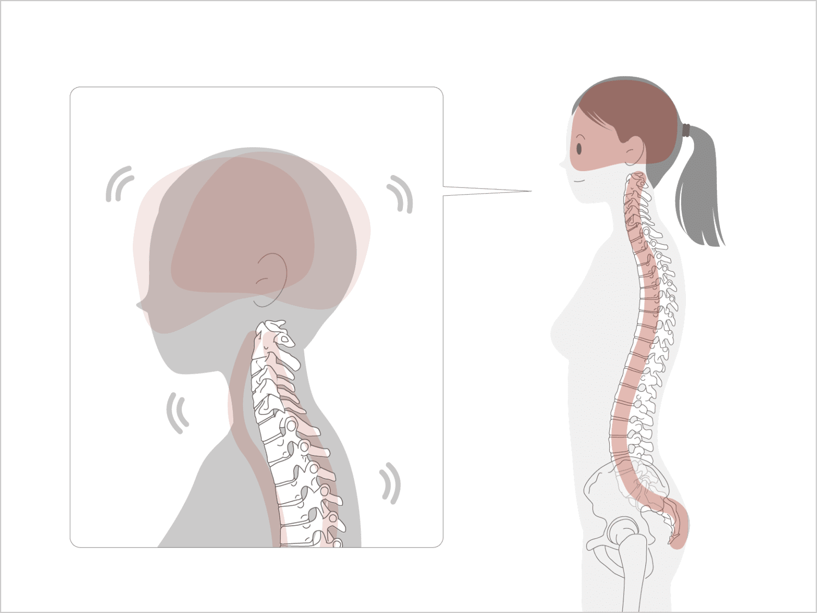 頭と脊椎の存在を思い出す