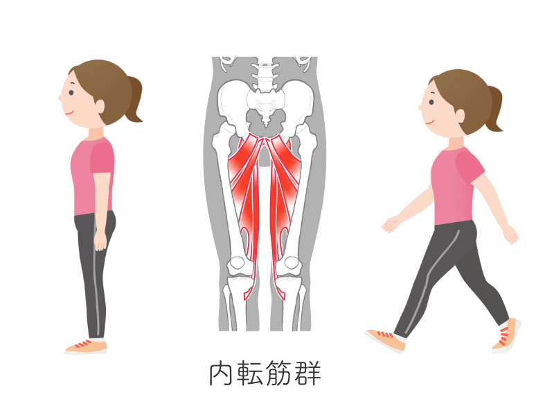 内もも