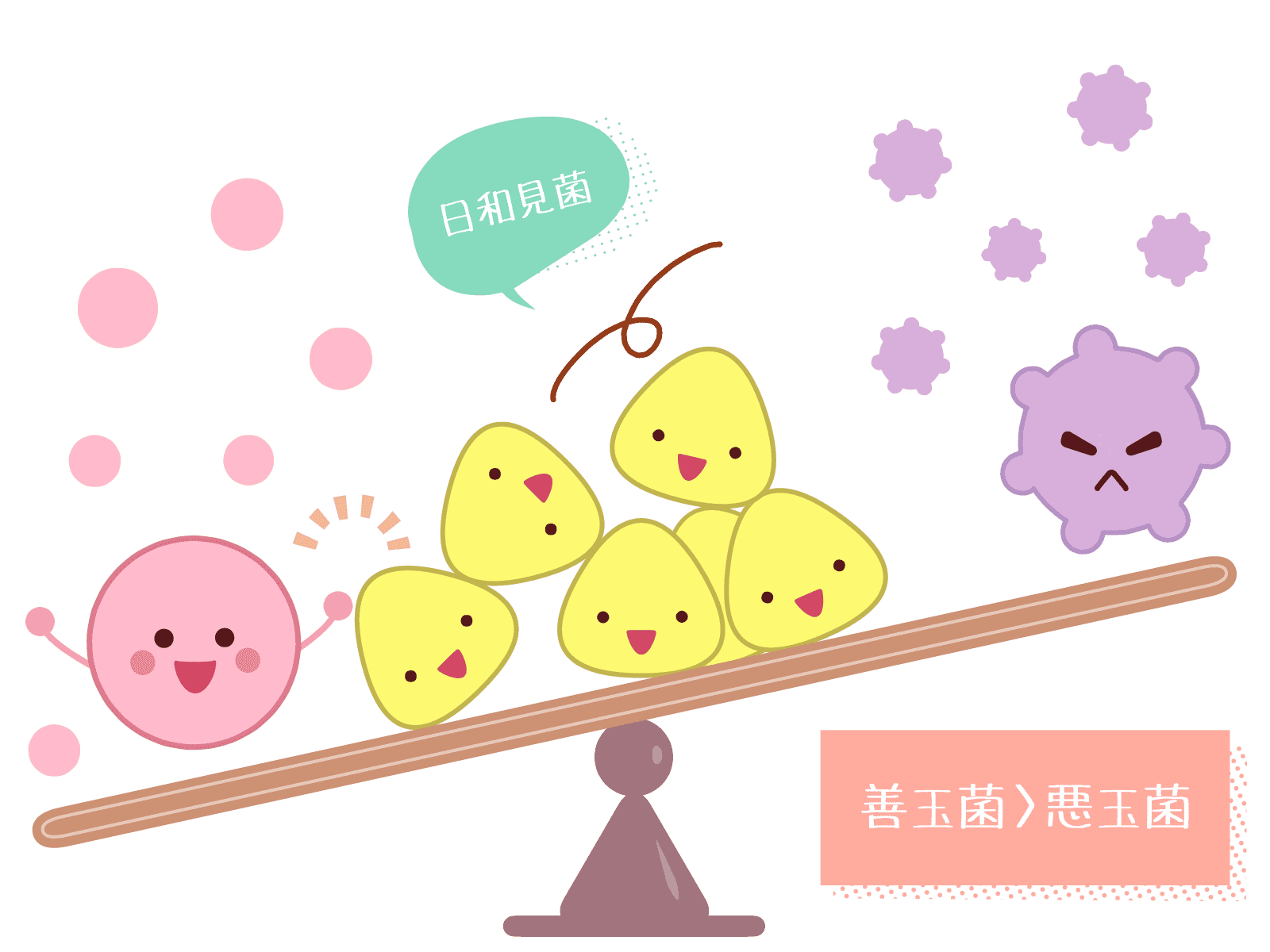 腸内細菌バランス