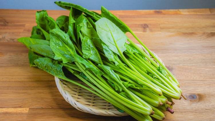 知らないうちに栄養素がどんどん減っていく…。ほうれん草のNG保存法|管理栄養士が解説