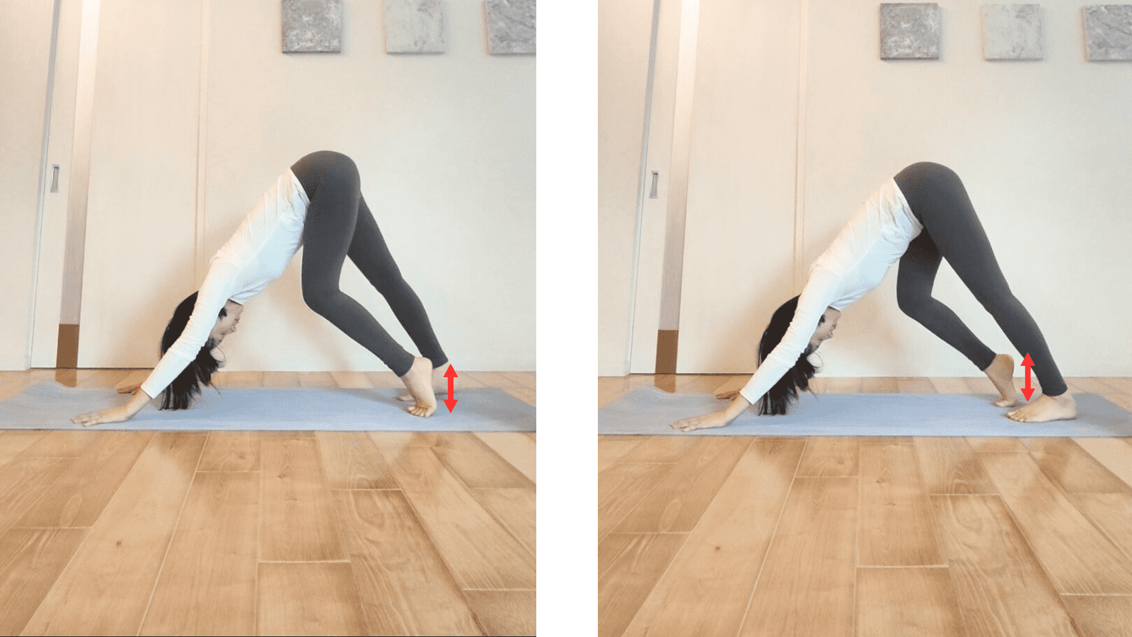 ダウンドッグエクサ