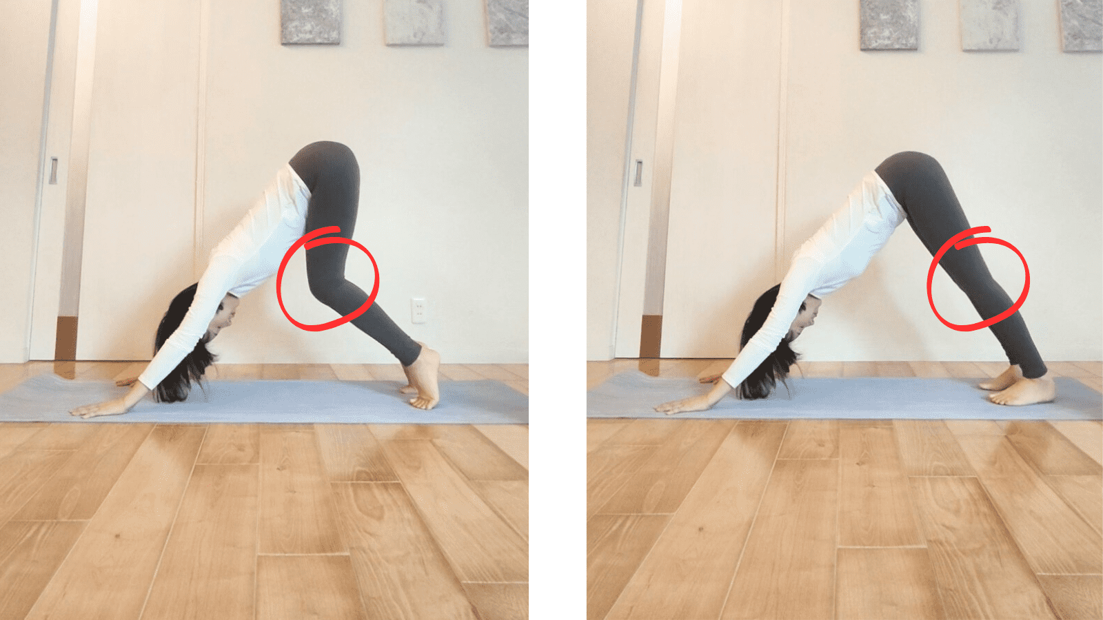 ダウンドッグエクサ