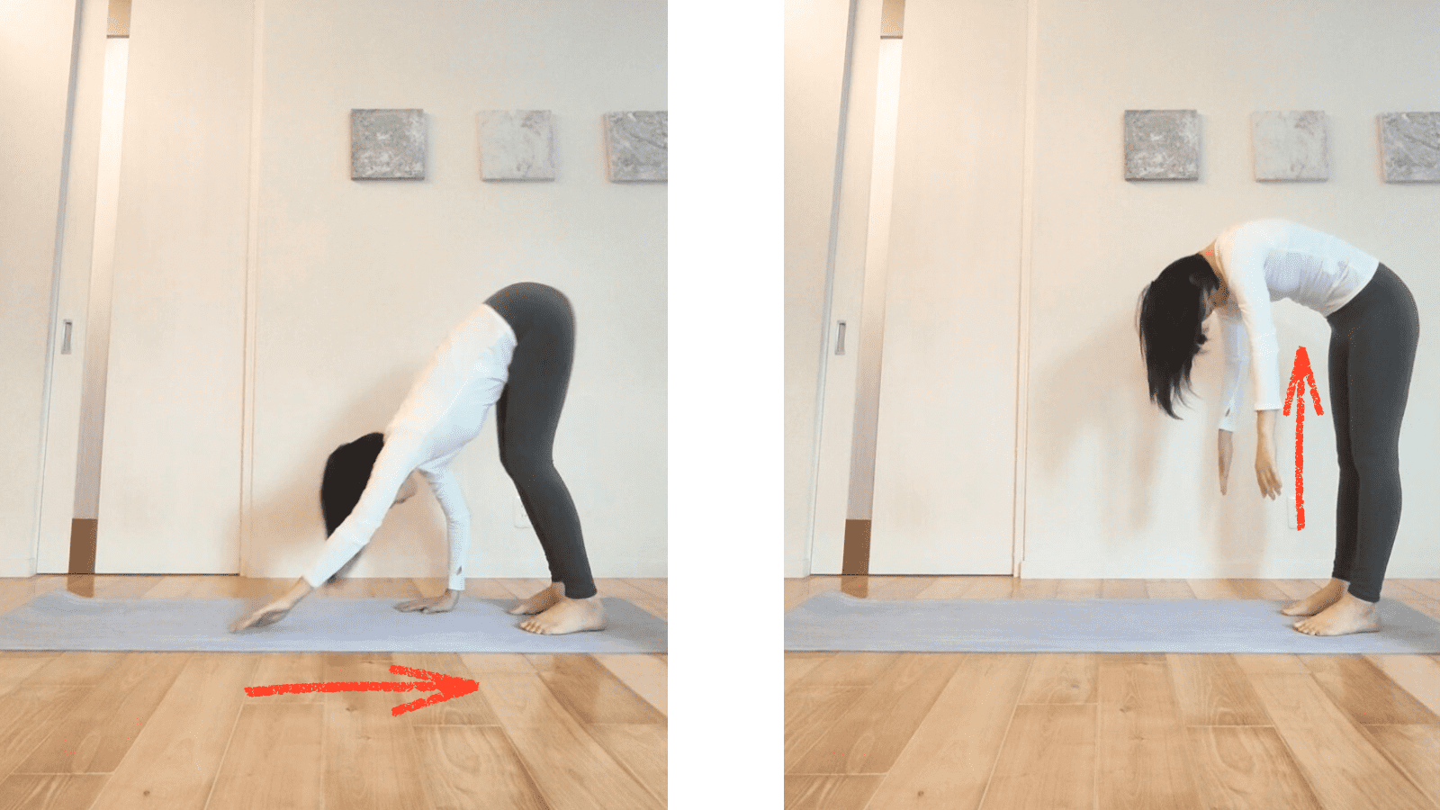 ダウンドッグエクサ