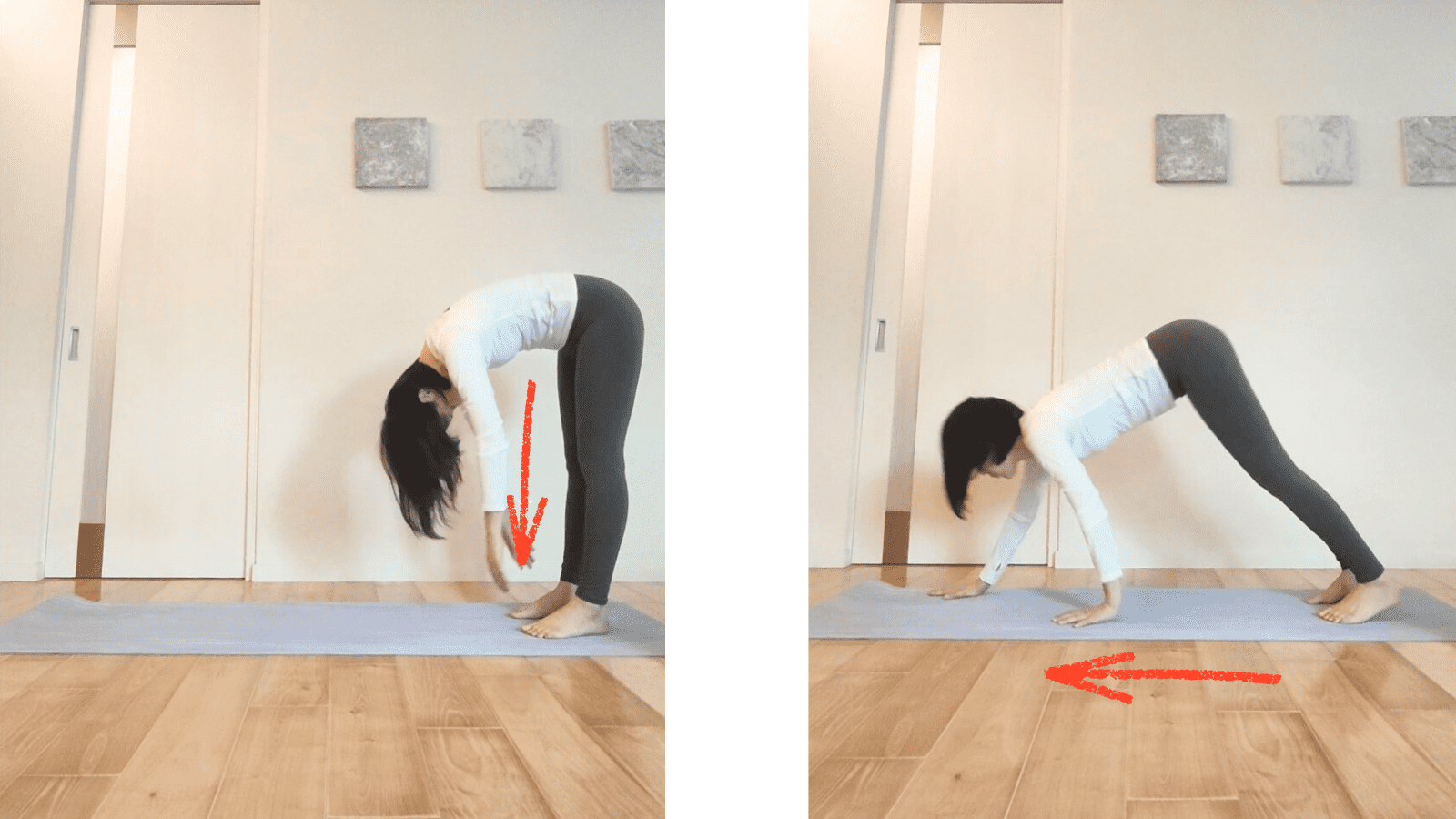 ダウンドッグエクサ