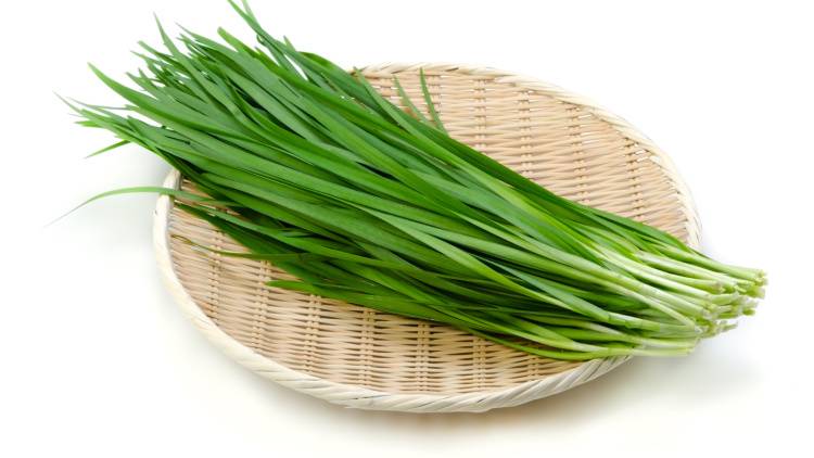 【ニラ】に加えるだけ!一緒に摂ると栄養の吸収が高まる「ちょい足し食材」とは?|管理栄養士が解説