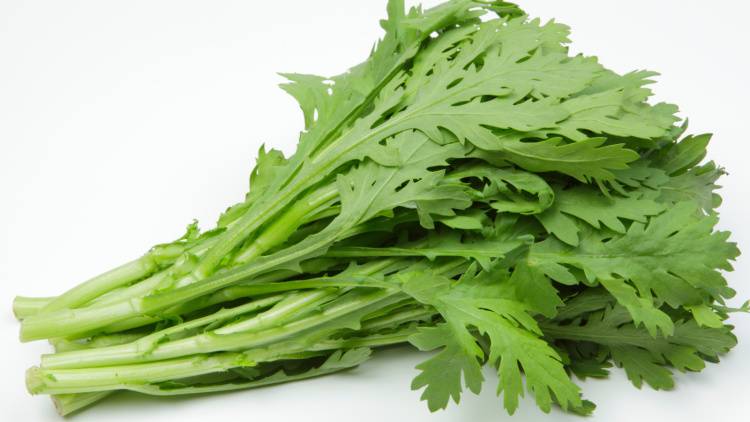 【春菊】に加えるだけ！栄養の吸収が高まる「ちょい足し食材」管理栄養士が解説