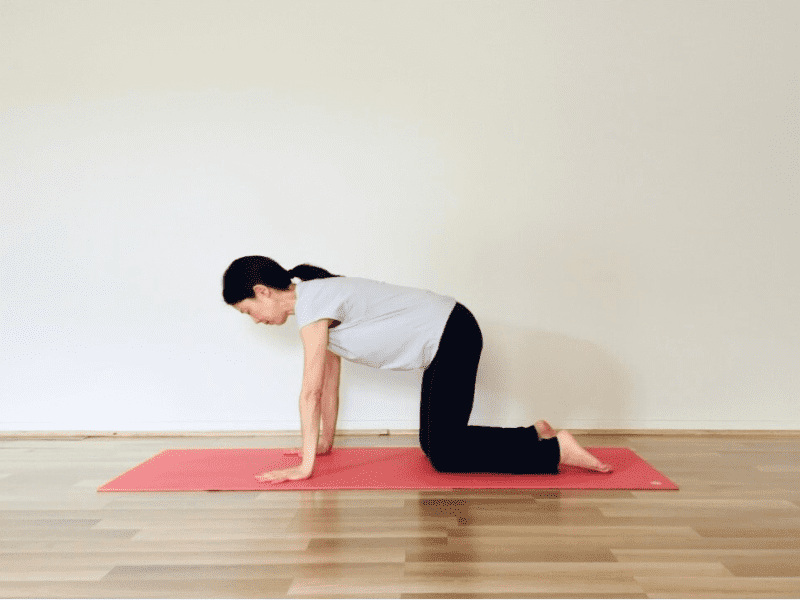 背骨ストレッチ