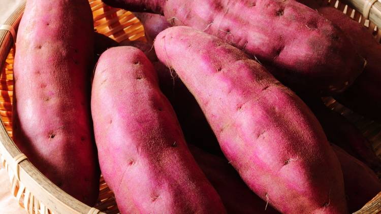 朝「さつまいも」を食べるだけ！痩せ体質に変わる食べ方【管理栄養士が解説】