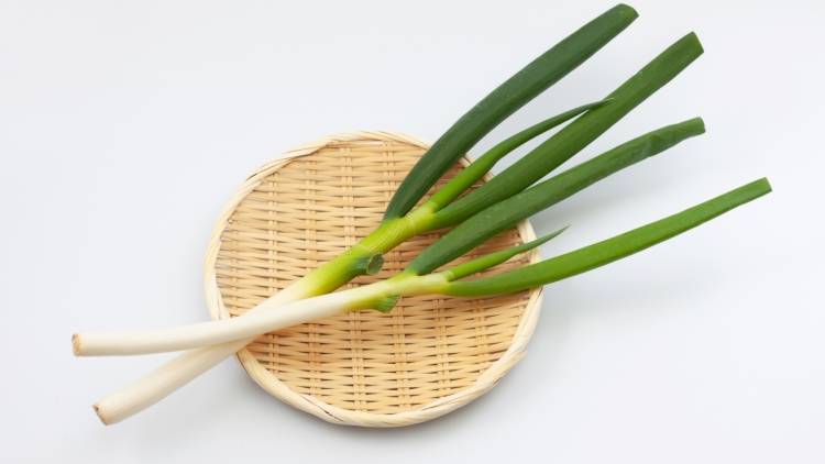 「買ったまま放置してたわ…」意外と知らない長ネギのNG保存法|管理栄養士が解説