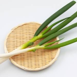 「買ったまま放置してたわ…」意外と知らない長ネギのNG保存法｜管理栄養士が解説