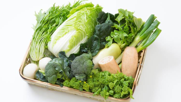 冬の不調は食事でケア。免疫と乾燥に効く「白い野菜」とは？【管理栄養士が解説】