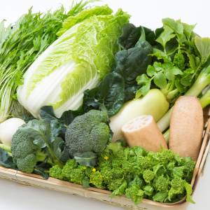 冬の不調は食事でケア。免疫と乾燥に効く「白い野菜」とは?【管理栄養士が解説】