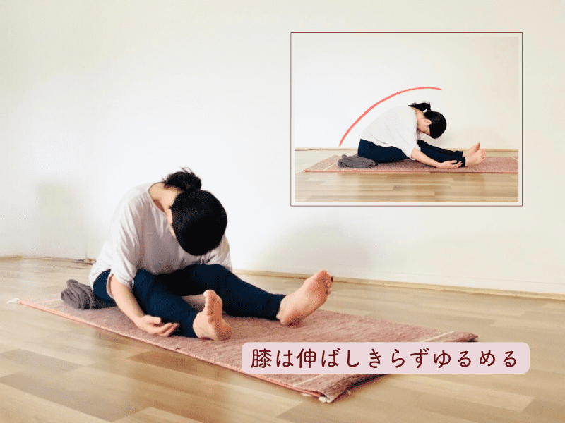 リラックス前屈