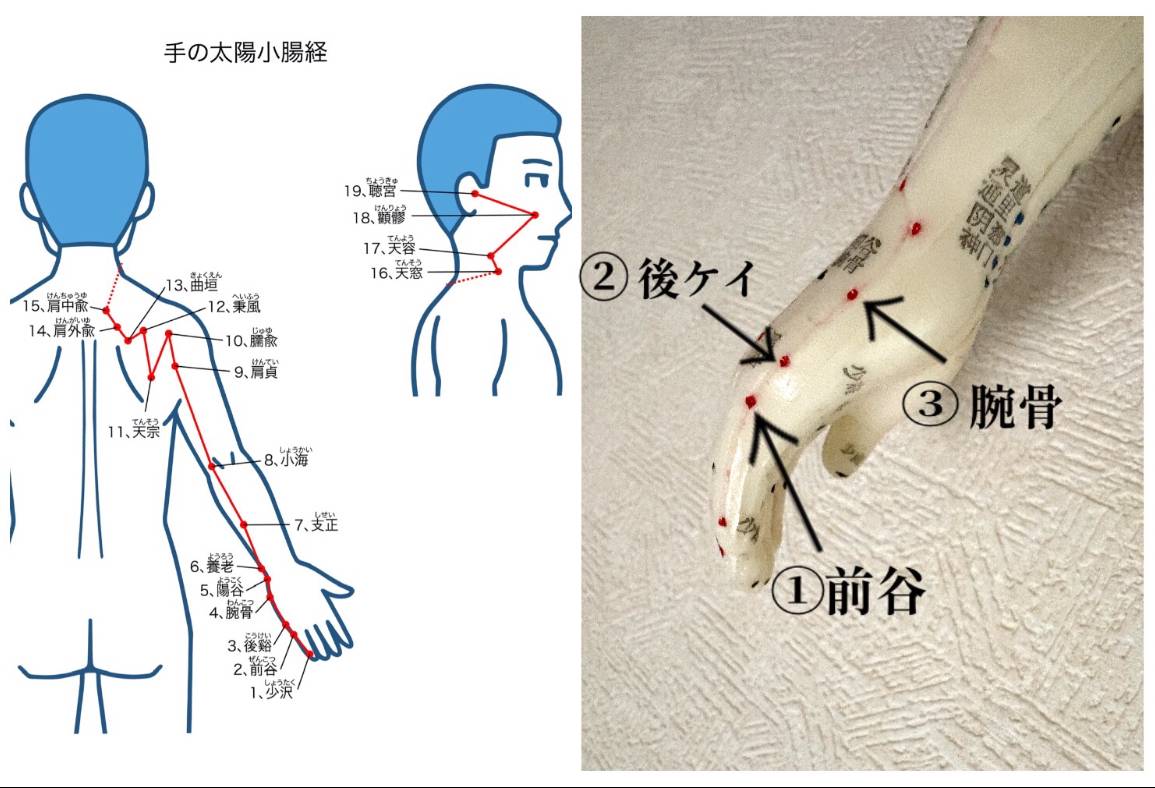 イラストAC,  photo by Naomi Nishikawa 