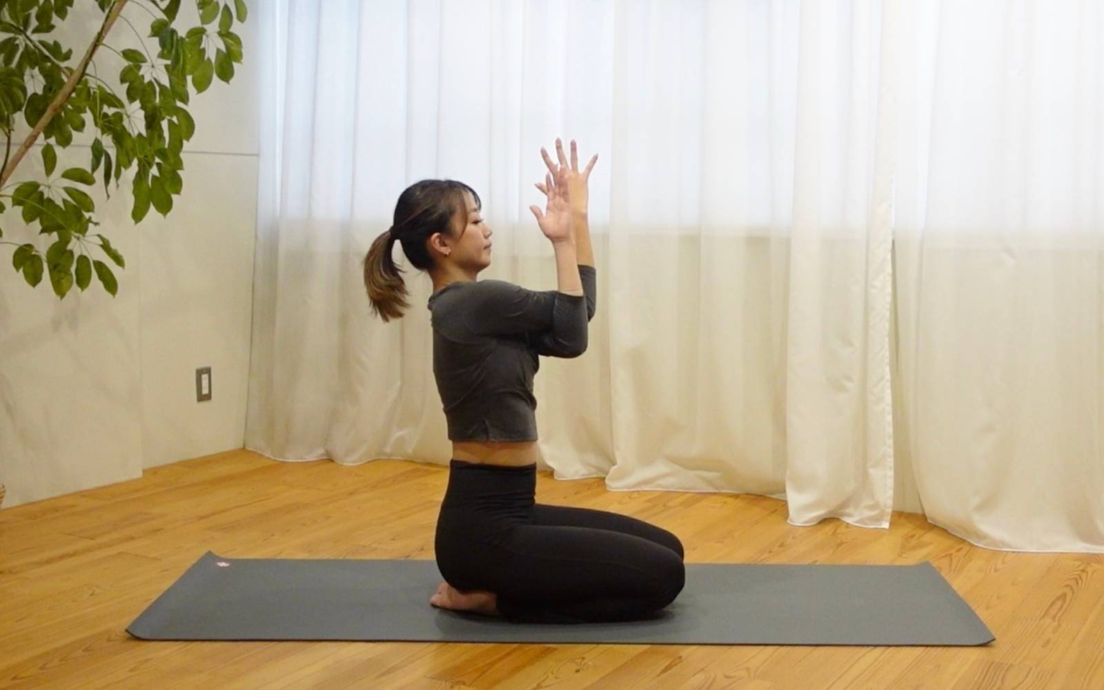 わしの手のポーズ