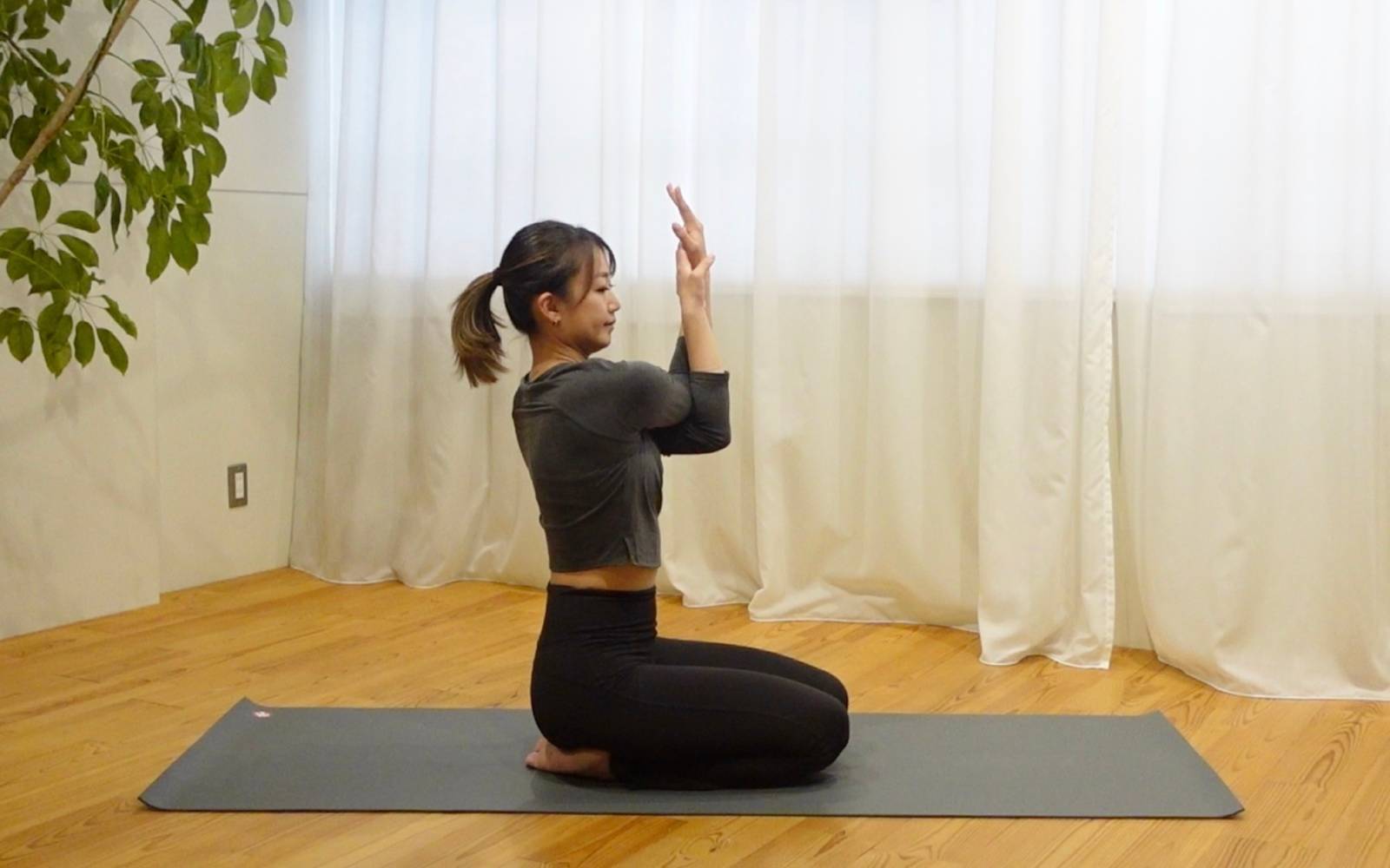 わしの手のポーズ