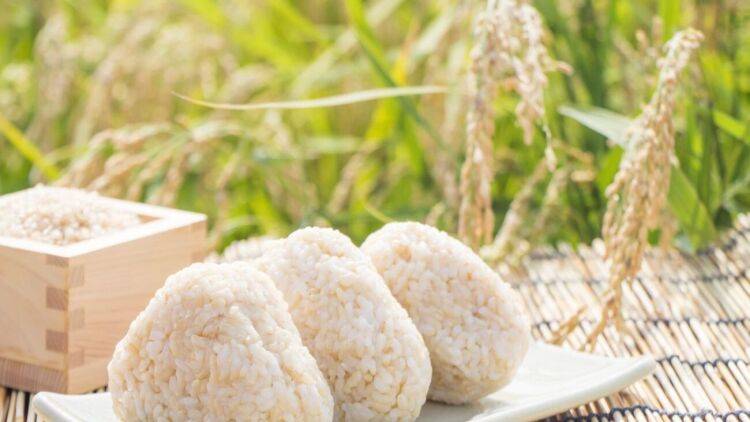 食後の眠気を防ぐ!おにぎりと組み合わせると良い食材とは?|管理栄養士が解説